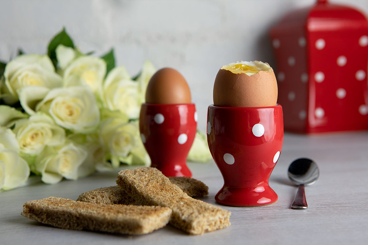 Red And White Polka Dot Spotty Handmade Hand Painted Ceramic Kitchen Serving Storage Set of 10