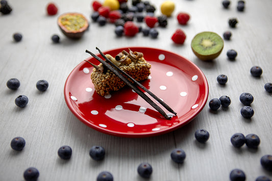 Red And White Polka Dot Spotty Handmade Hand Painted Glazed Ceramic Side Dessert Plate